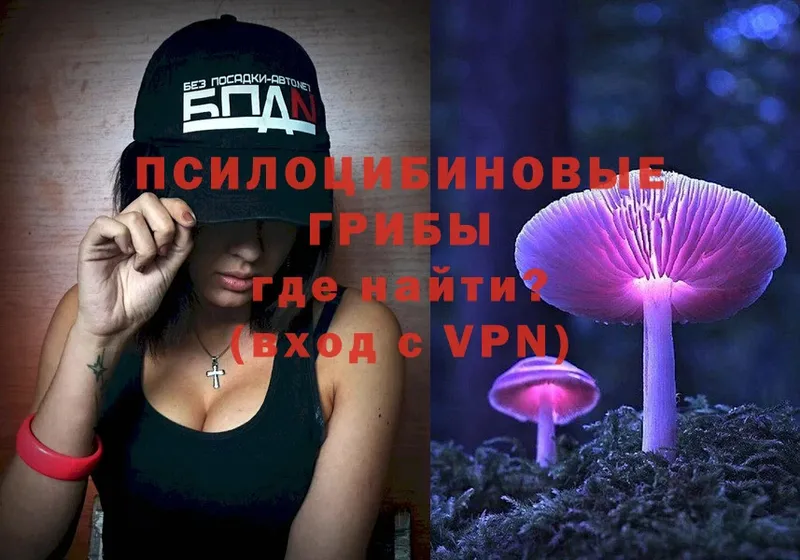 Псилоцибиновые грибы Magic Shrooms  Мурманск 